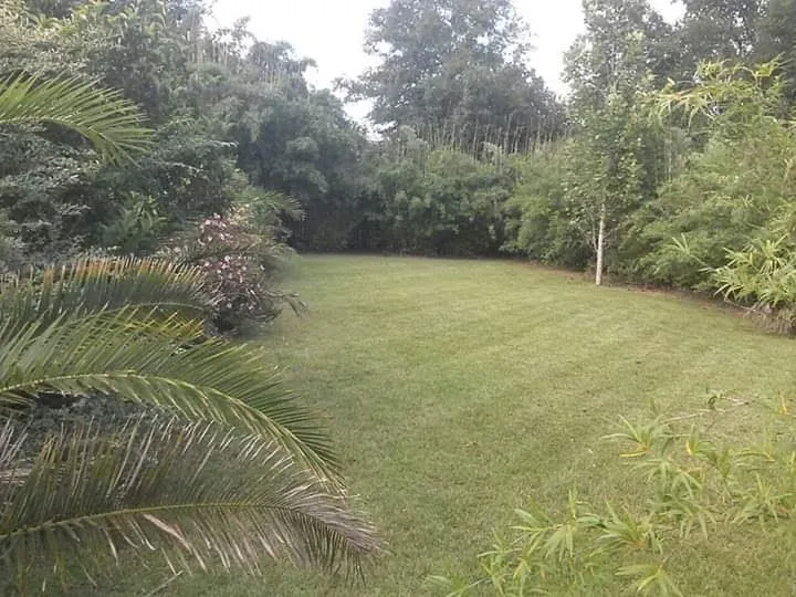 Professional landscape installation for outdoor upgrades across Milton, FL - Ground Effects Lawn and Landscapes