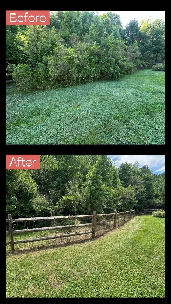 Professional residential landscaping experts serving Rock Hill, SC - Ground Effects Lawn Service