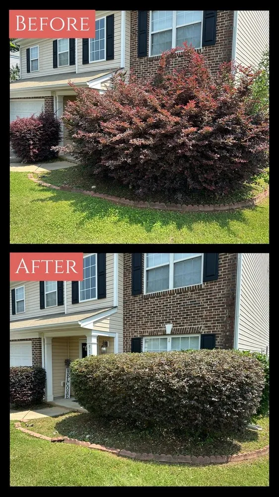 Top-rated outdoor landscaping for year-round maintenance in Rock Hill, SC by Ground Effects Lawn Service