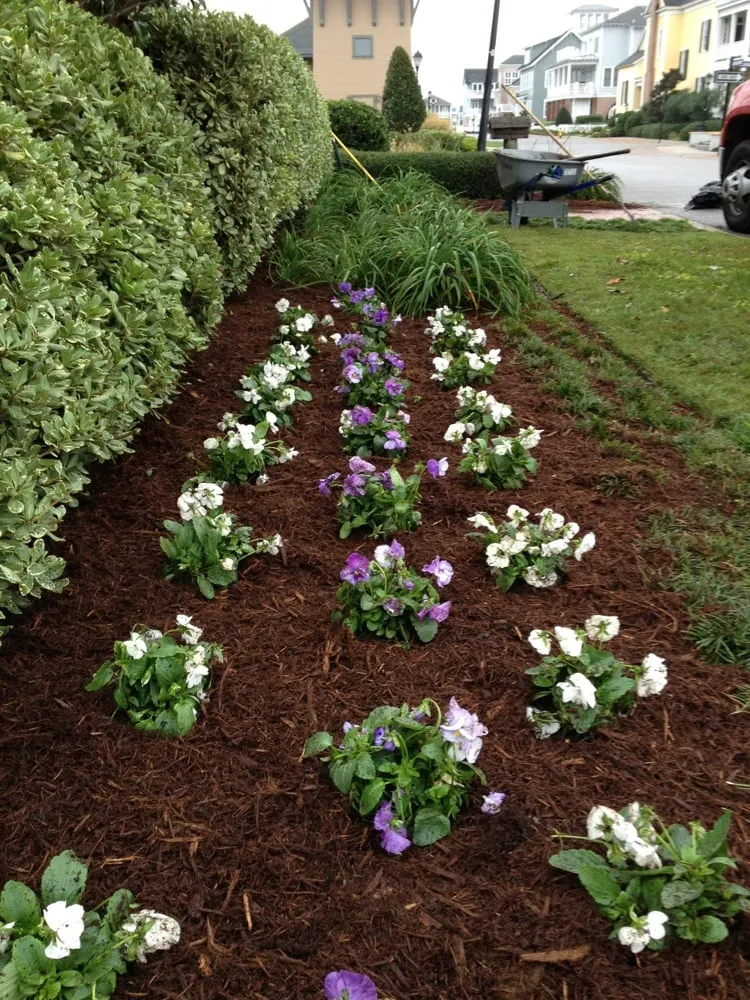 Affordable landscape installation for year-round maintenance in Virginia Beach, VA by Ground Effects Lawn Service