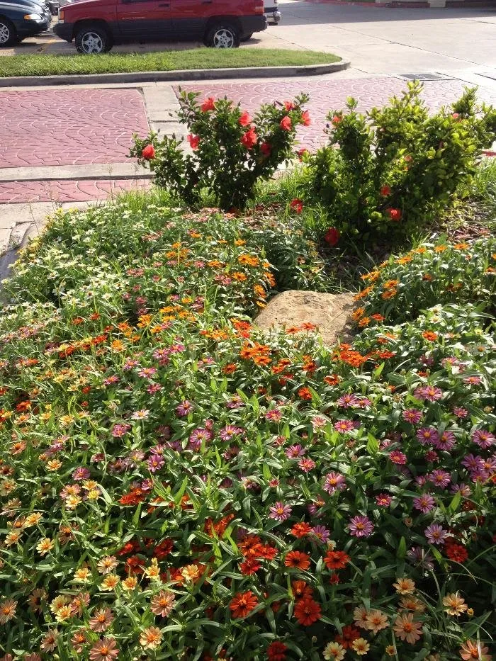 Affordable yard cleanup service for outdoor upgrades in Victoria, TX by Ground Effects