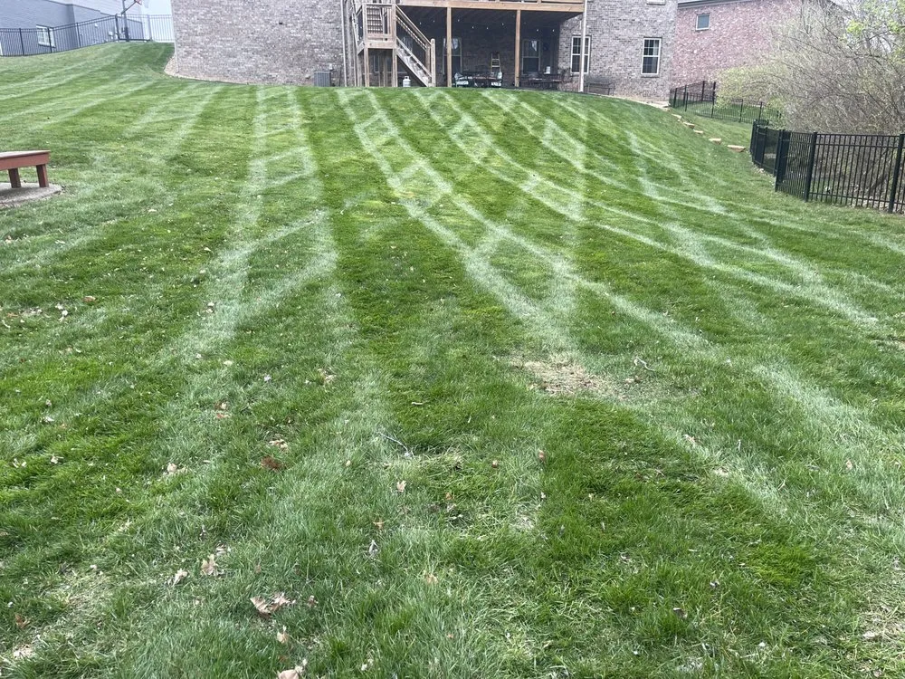 Reliable landscape installation in Louisville, KY by Ground EFFx Lawn & Landscaping