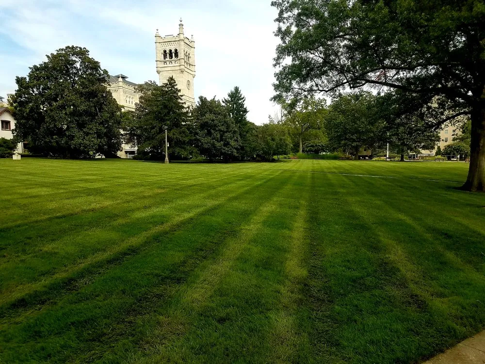 Top-rated garden landscaping in Woodbridge, VA - Ground Enhancement