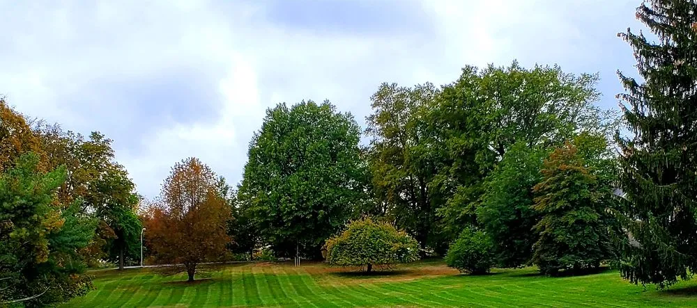 Reliable outdoor landscaping experts serving Woodbridge, VA - Ground Enhancement