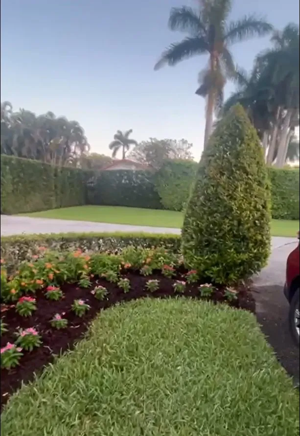 Affordable yard maintenance for year-round maintenance in Miami Lakes, FL by Ground Experts