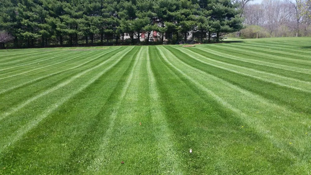 Affordable garden landscaping with custom design in Elizabethtown, KY by Ground Forces Lawn