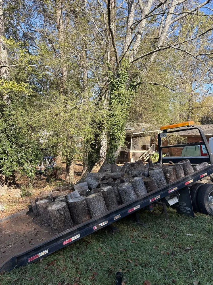 Local landscaping services for year-round maintenance in Arcadia, SC by Ground Forge Landscape Group