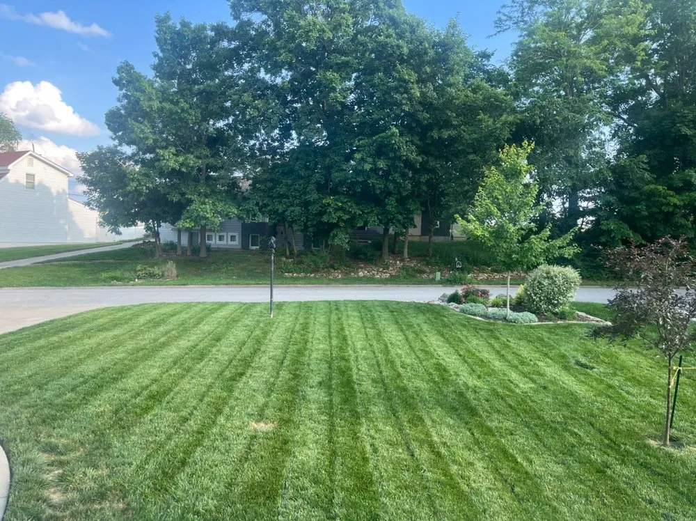 Professional landscaping services in Arcadia, SC by Ground Forge Landscape Group