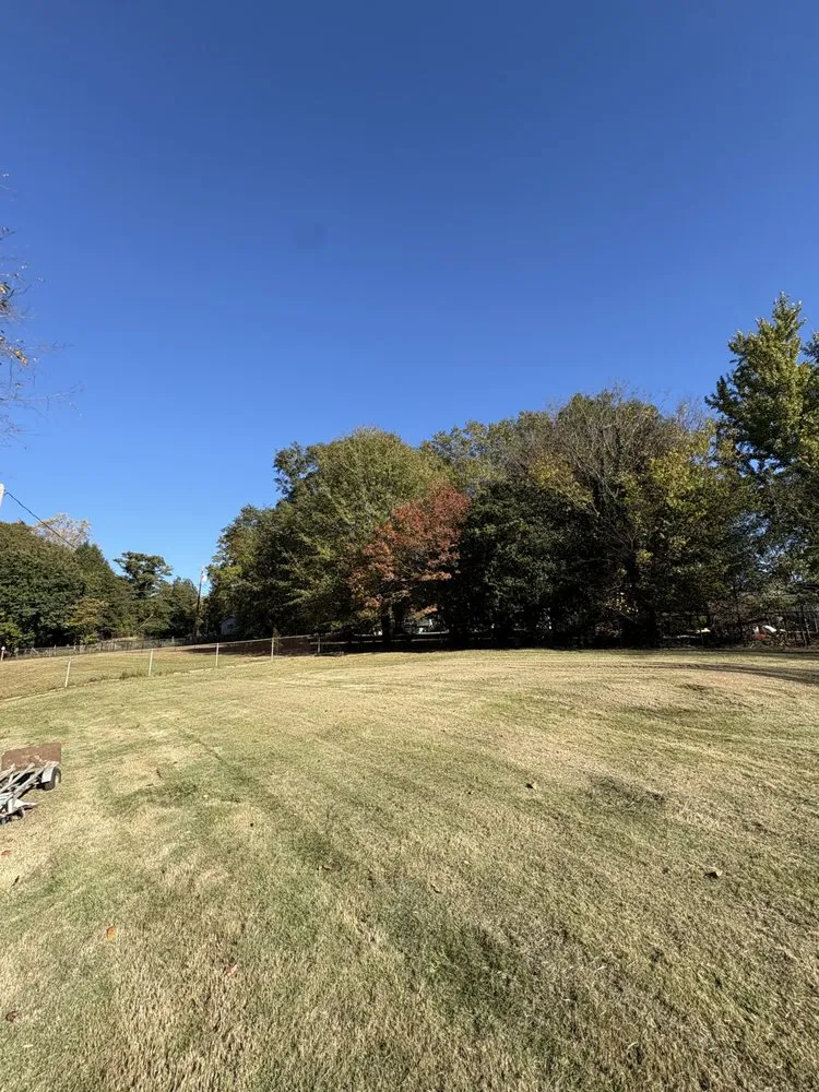 Expert lawn care service in Arcadia, SC by Ground Forge Landscape Group