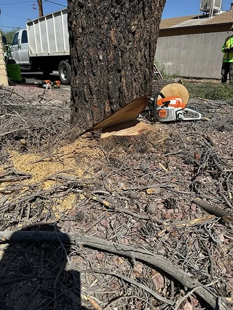 Expert residential landscaping with custom design in Arcadia, SC by Ground Forge Landscape Group