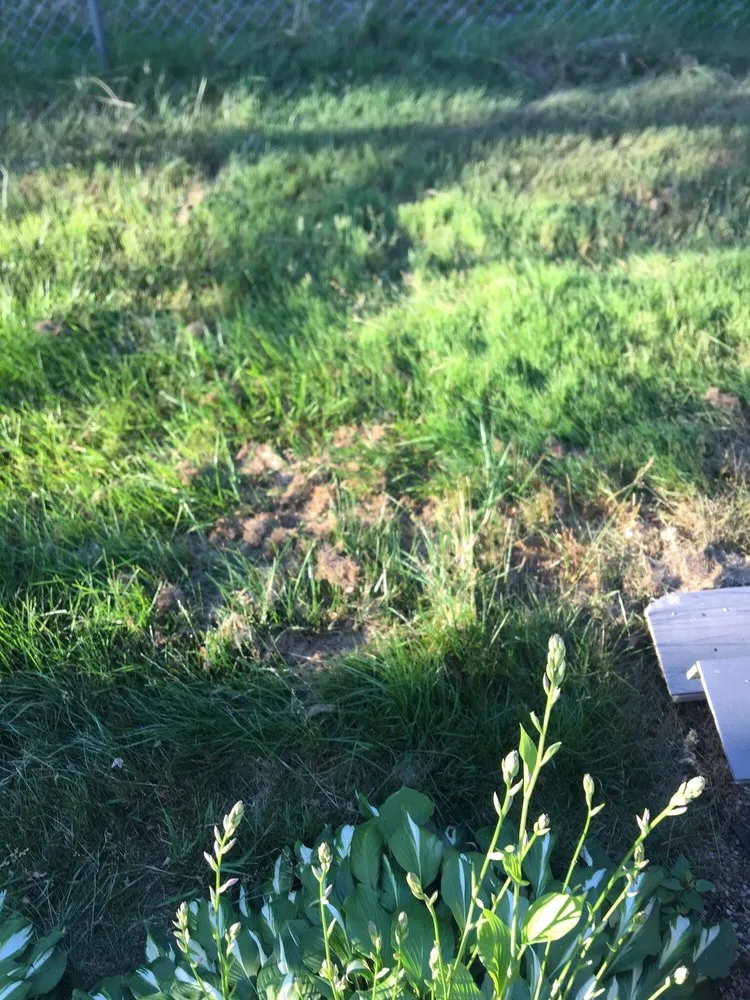 Trusted garden landscaping in Rochester, NY by Ground Fx Property Service