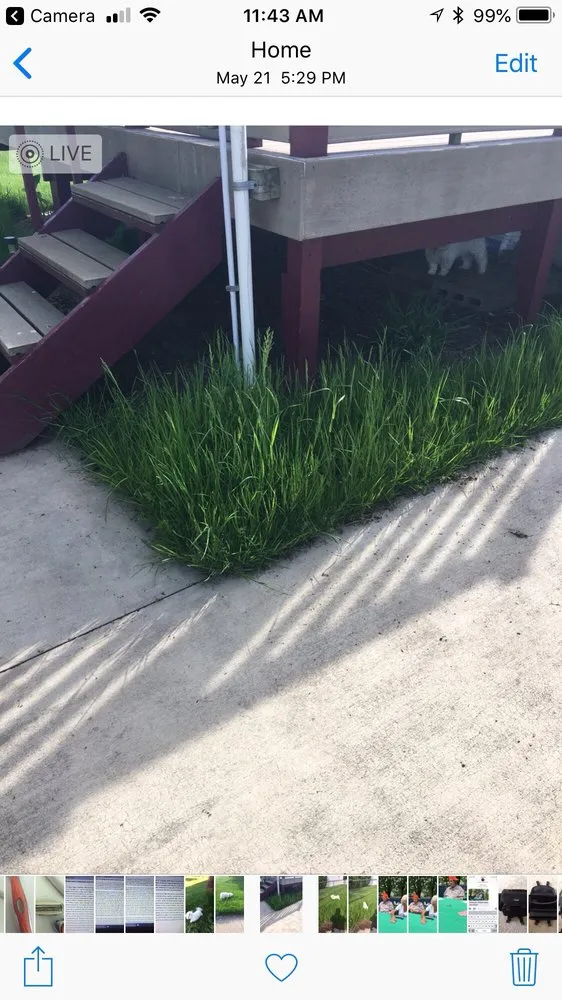 Top-rated yard cleanup service experts serving Rochester, NY - Ground Fx Property Service