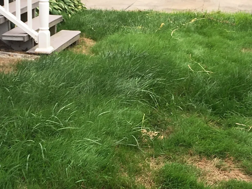 Affordable garden landscaping for homes across Rochester, NY - Ground Fx Property Service