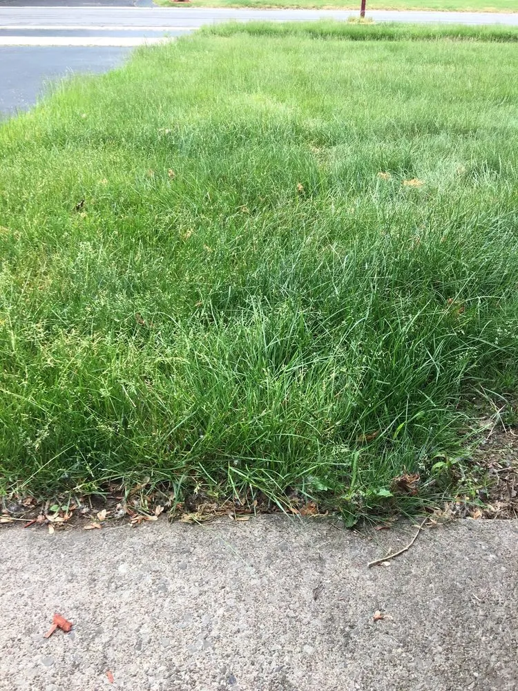 Custom landscape design in Rochester, NY by Ground Fx Property Service