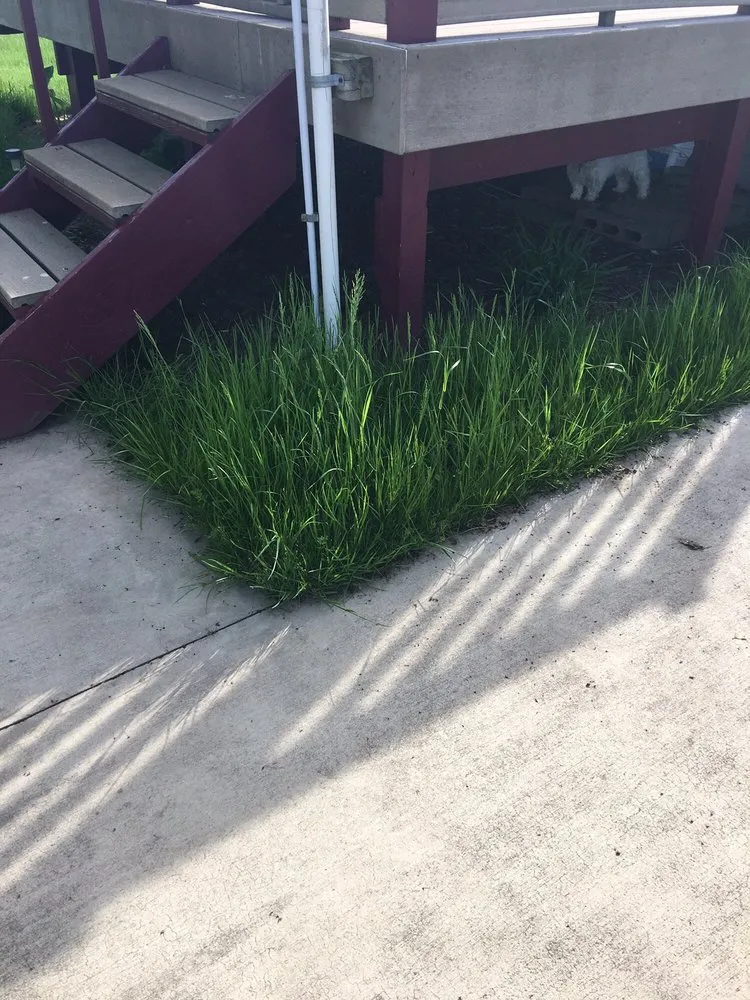 Expert landscape design in Rochester, NY by Ground Fx Property Service