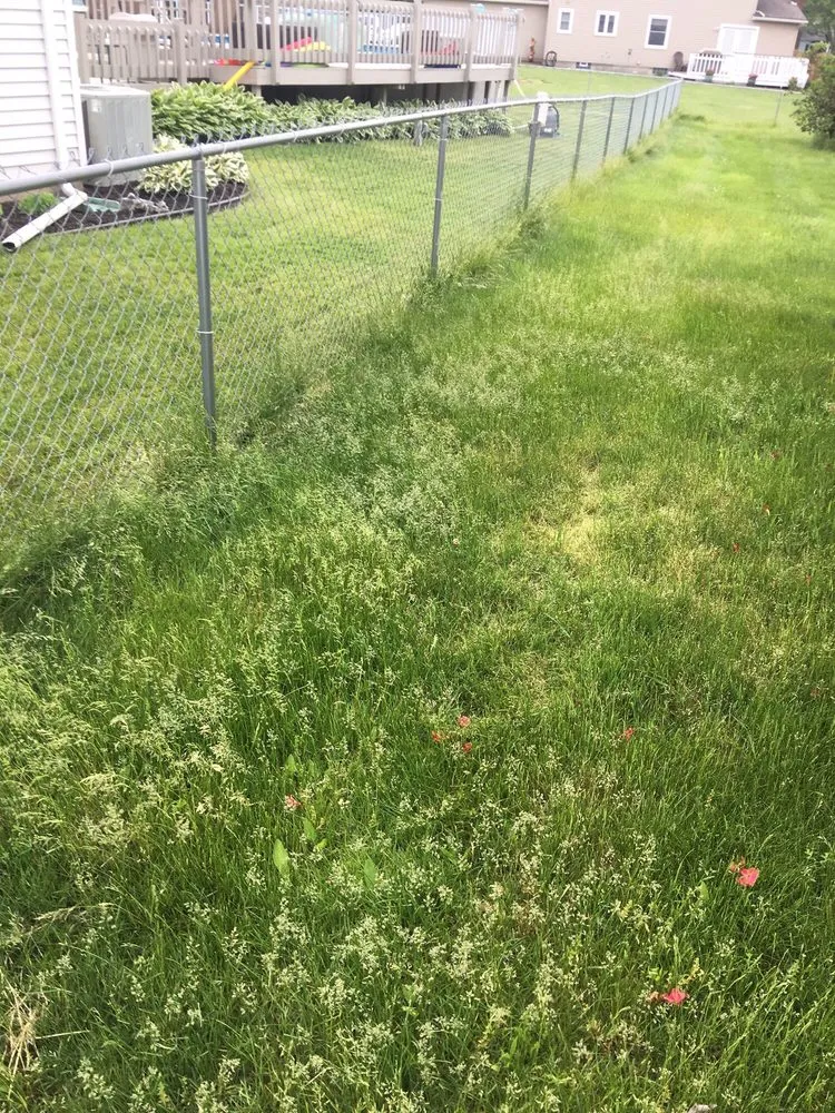 Expert yard cleanup service with custom design across Rochester, NY - Ground Fx Property Service