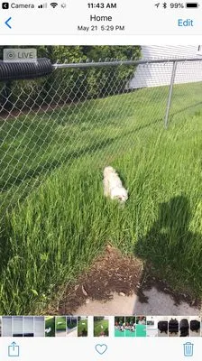 Ground Fx Property Service Logo