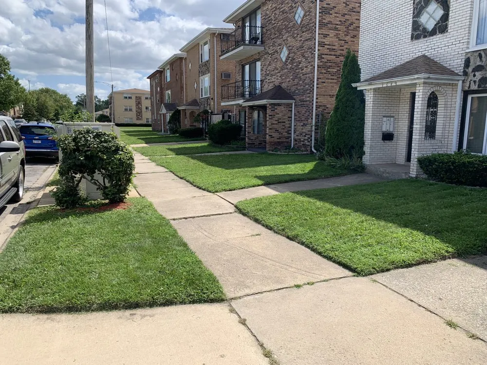 Reliable landscape installation experts serving Chicago, IL - Ground Godz