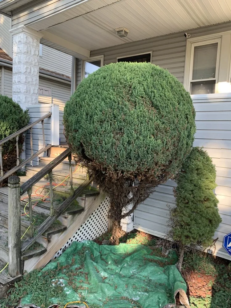 Custom residential landscaping experts serving Chicago, IL - Ground Godz