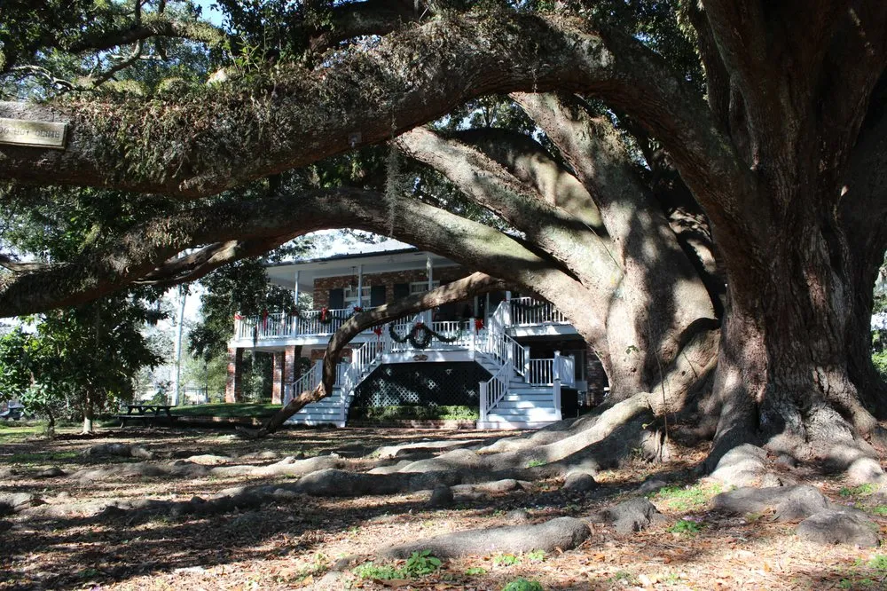 Local residential landscaping for outdoor upgrades in Mandeville, LA by Ground Hog Landscape Management