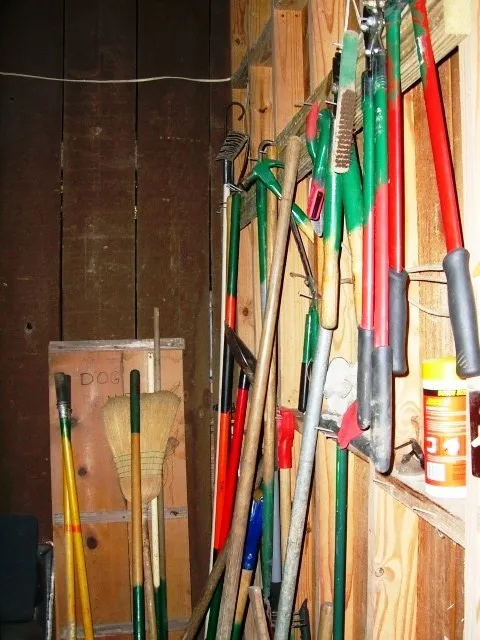 Expert yard cleanup service experts serving Mandeville, LA - Ground Hog Landscape Management