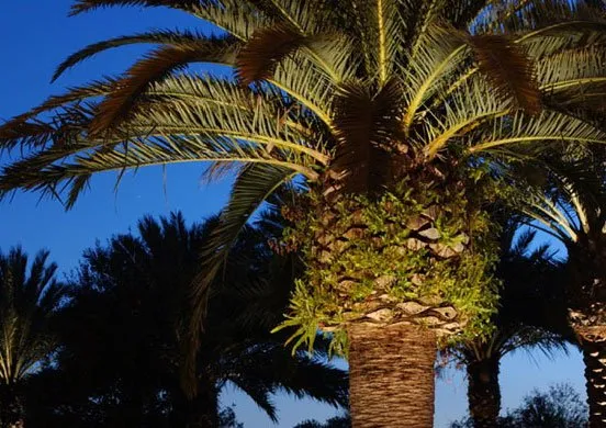 Trusted landscape design experts serving Mandeville, LA - Ground Hog Landscape Management