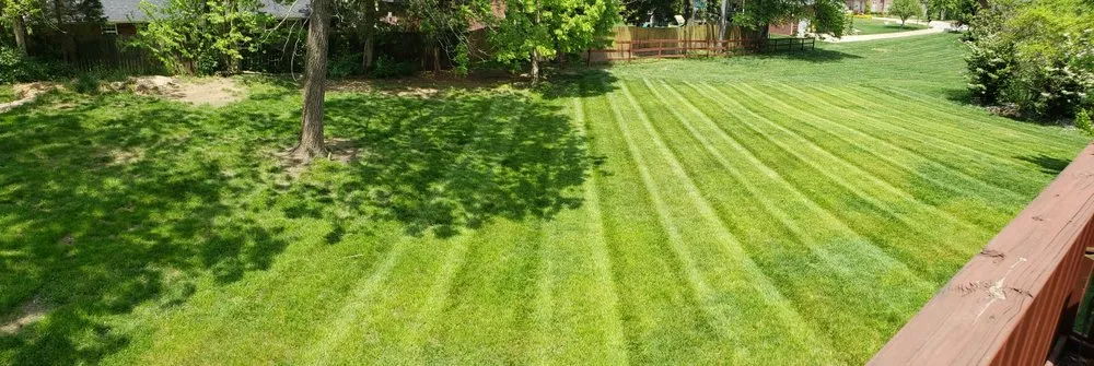Affordable landscape design in Louisville, KY by Ground Hoggin Lawn Service