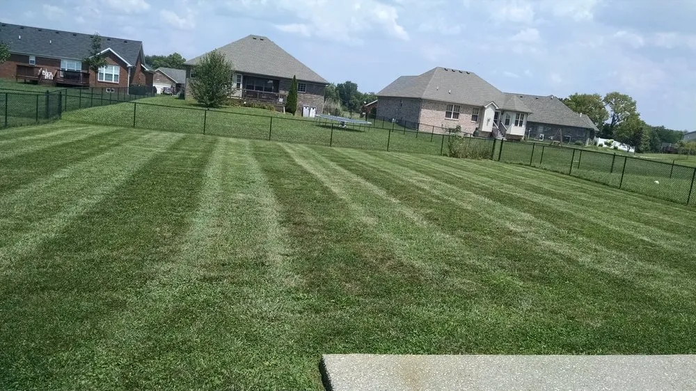 Trusted landscape design in Louisville, KY by Ground Hoggin Lawn Service