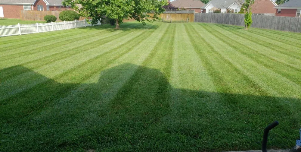 Affordable yard cleanup service in Louisville, KY - Ground Hoggin Lawn Service