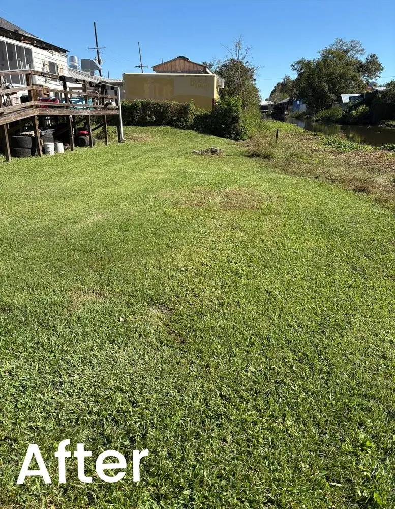 Affordable landscaping services in Thibodaux, LA by Ground Level Maintenance