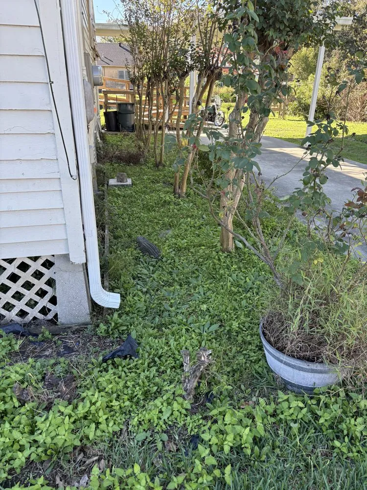 Local yard cleanup service in Thibodaux, LA - Ground Level Maintenance