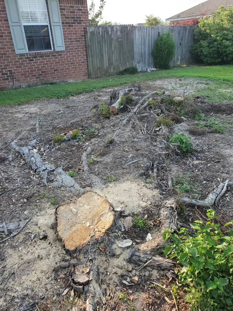 Expert lawn care service experts serving Foley, AL - Ground Level Stump Grinding Service