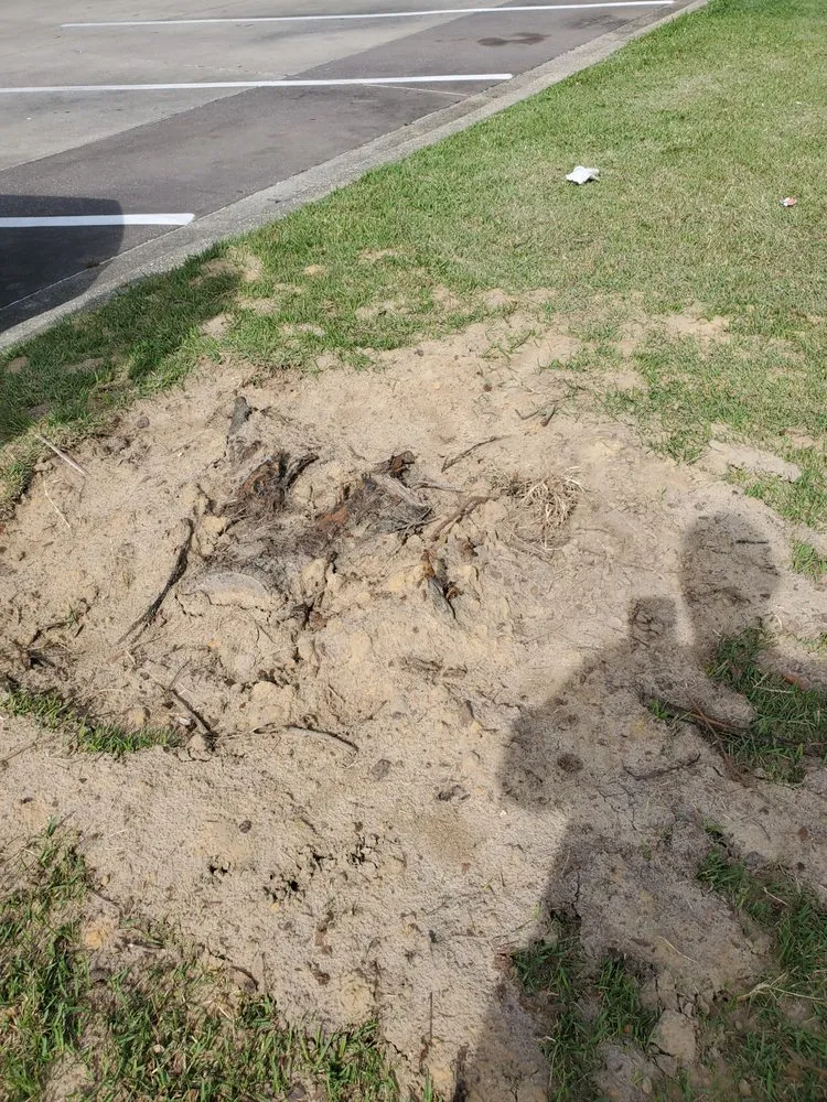 Custom landscape design experts serving Foley, AL - Ground Level Stump Grinding Service