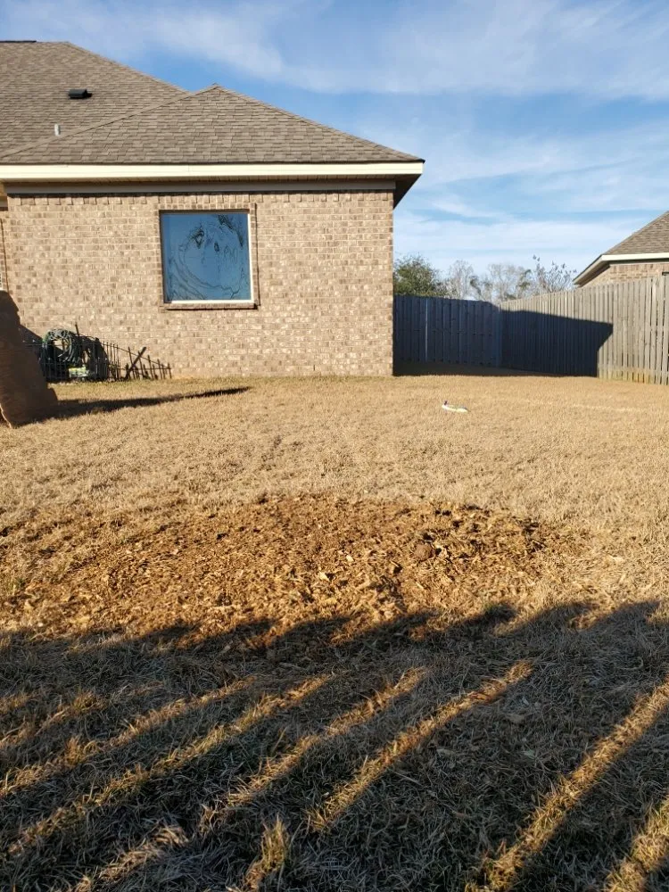 Local residential landscaping in Foley, AL - Ground Level Stump Grinding Service