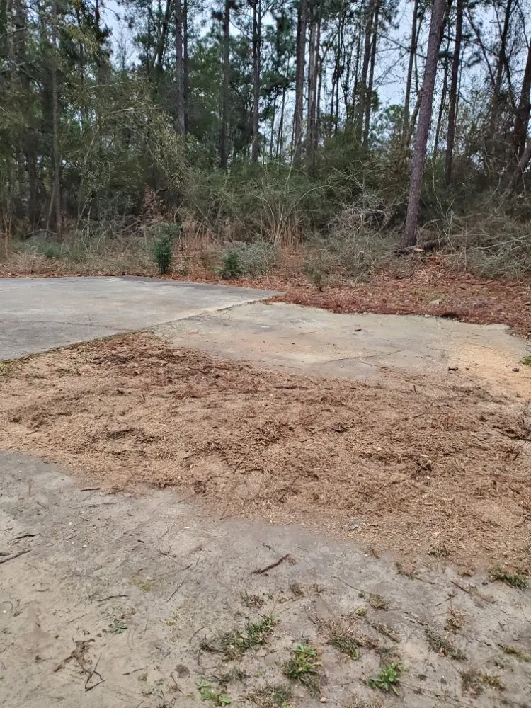 Local yard maintenance for year-round maintenance in Foley, AL by Ground Level Stump Grinding Service