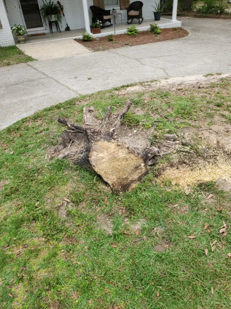 Local landscaping services for outdoor upgrades in Foley, AL by Ground Level Stump Grinding Service