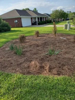 Ground Level Stump Grinding Service Logo