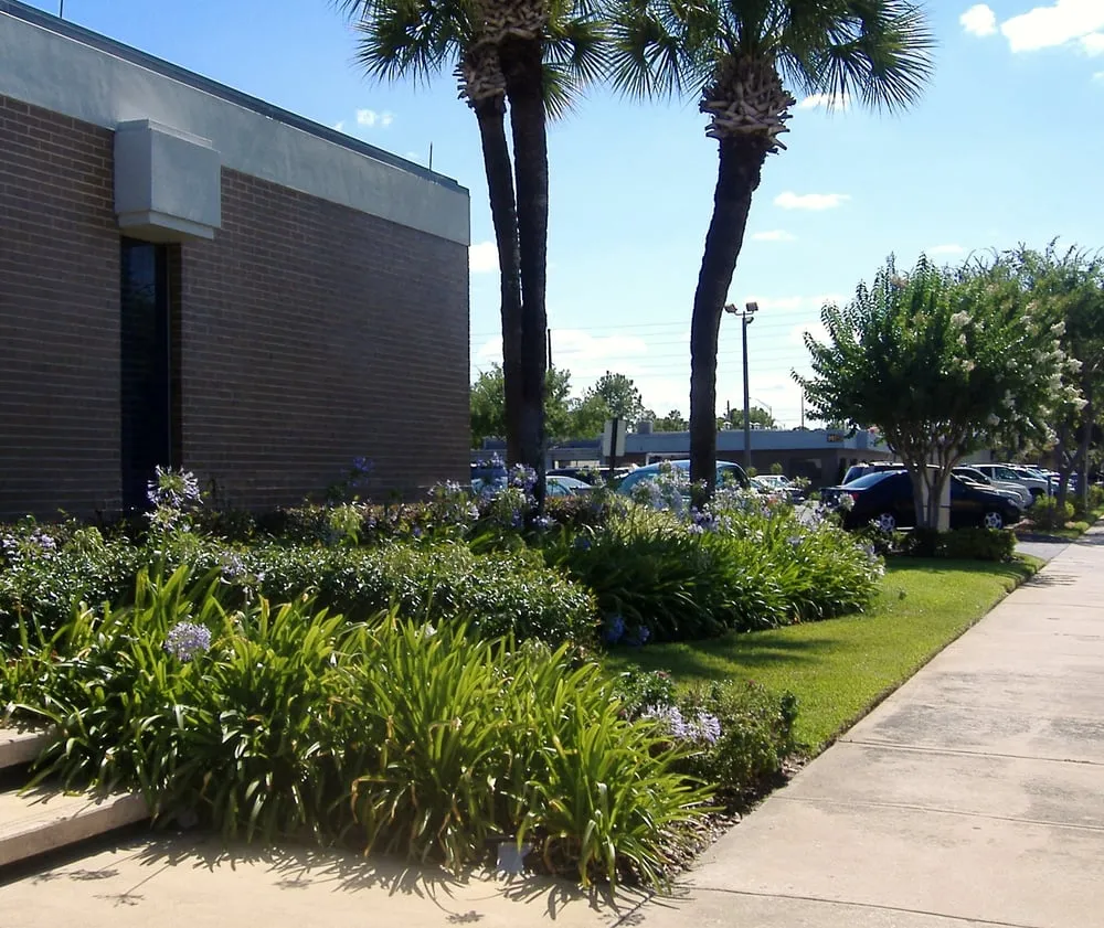 Top-rated residential landscaping in Saint Cloud, FL - Ground Masters