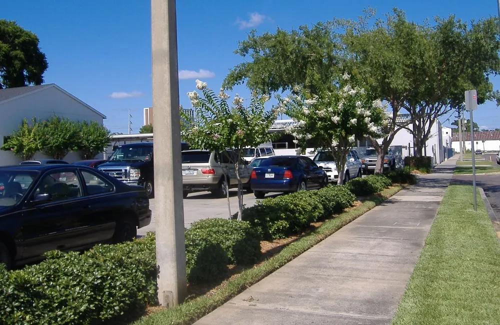 Expert outdoor landscaping experts serving Saint Cloud, FL - Ground Masters