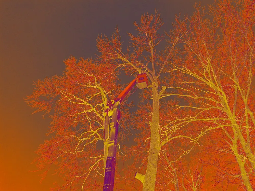 Custom landscaping services experts serving Lakeview, OH - Ground Pounders Landscape & Stump Removal