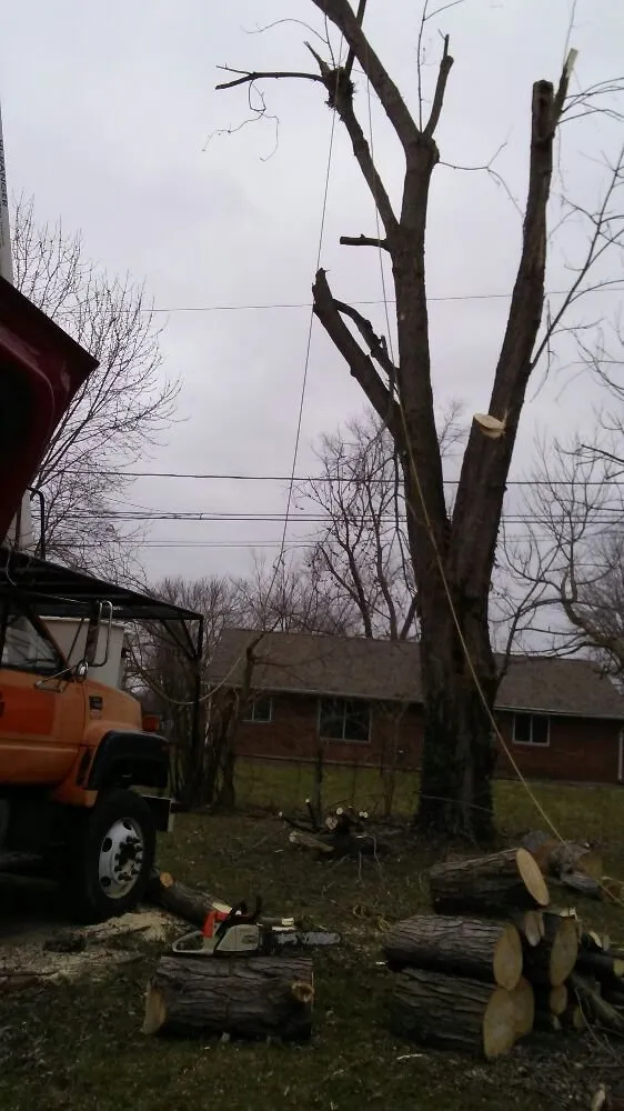 Top-rated outdoor landscaping in Lakeview, OH - Ground Pounders Landscape & Stump Removal