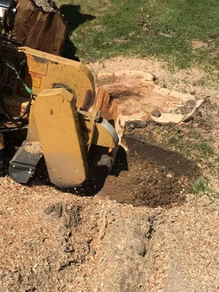 Custom outdoor landscaping for residential properties in Lakeview, OH by Ground Pounders Landscape & Stump Removal