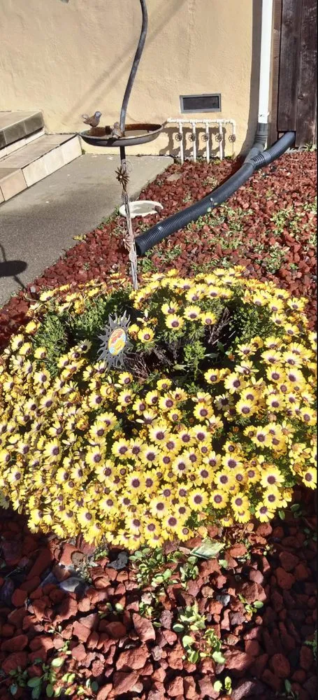 Trusted landscape installation in Richmond, CA by Ground Preserve Landscape