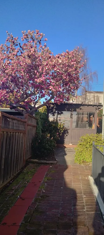 Reliable lawn mowing service in Richmond, CA - Ground Preserve Landscape