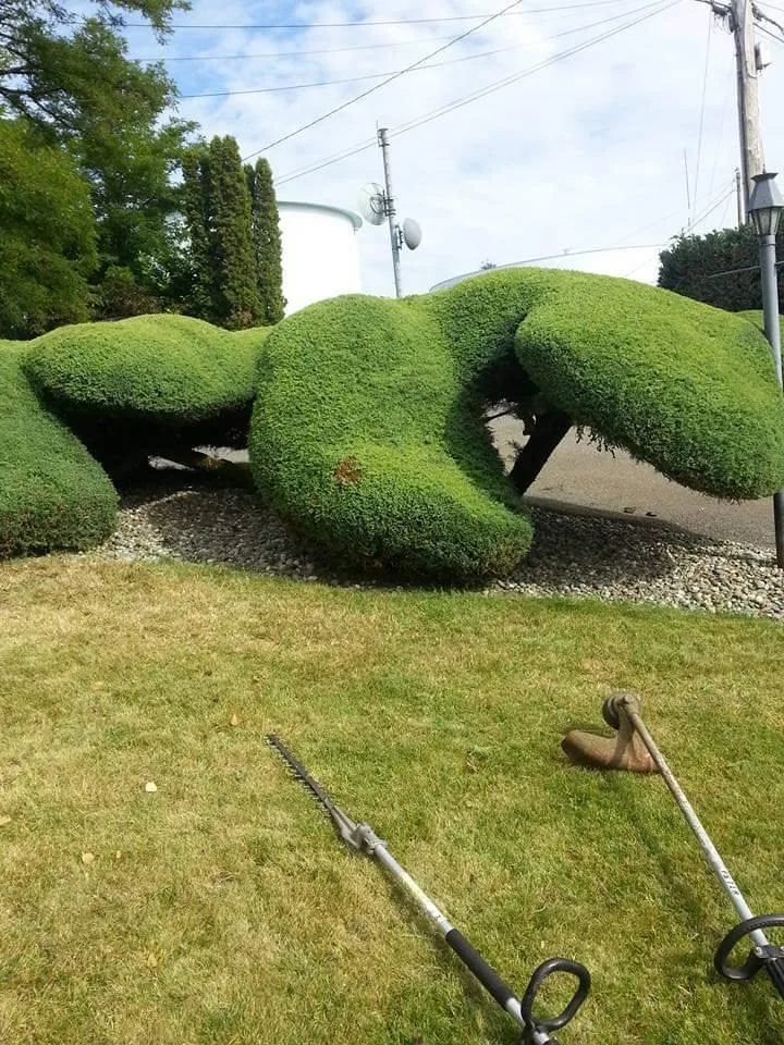 Reliable residential landscaping with custom design across Richmond, CA - Ground Preserve Landscape