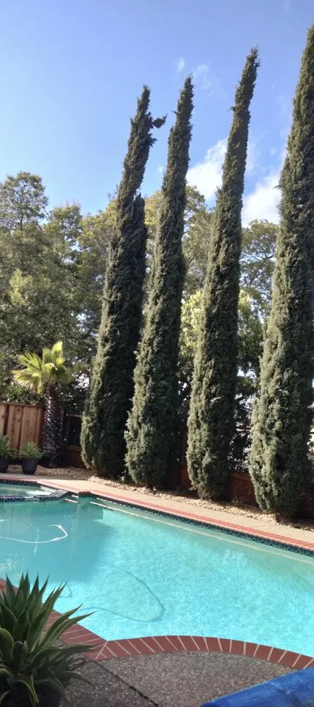 Trusted lawn care service in Richmond, CA - Ground Preserve Landscape