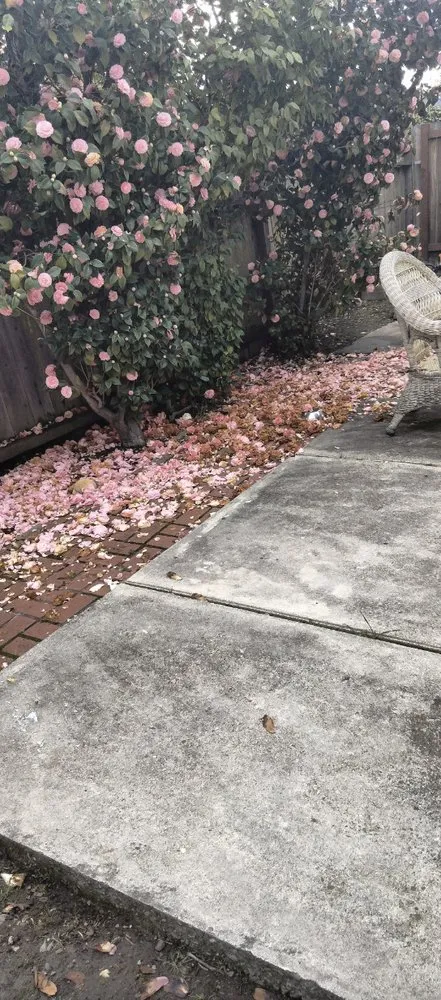 Custom garden landscaping in Richmond, CA by Ground Preserve Landscape