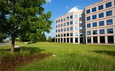 Custom yard maintenance experts serving Itasca, IL - Ground Pros