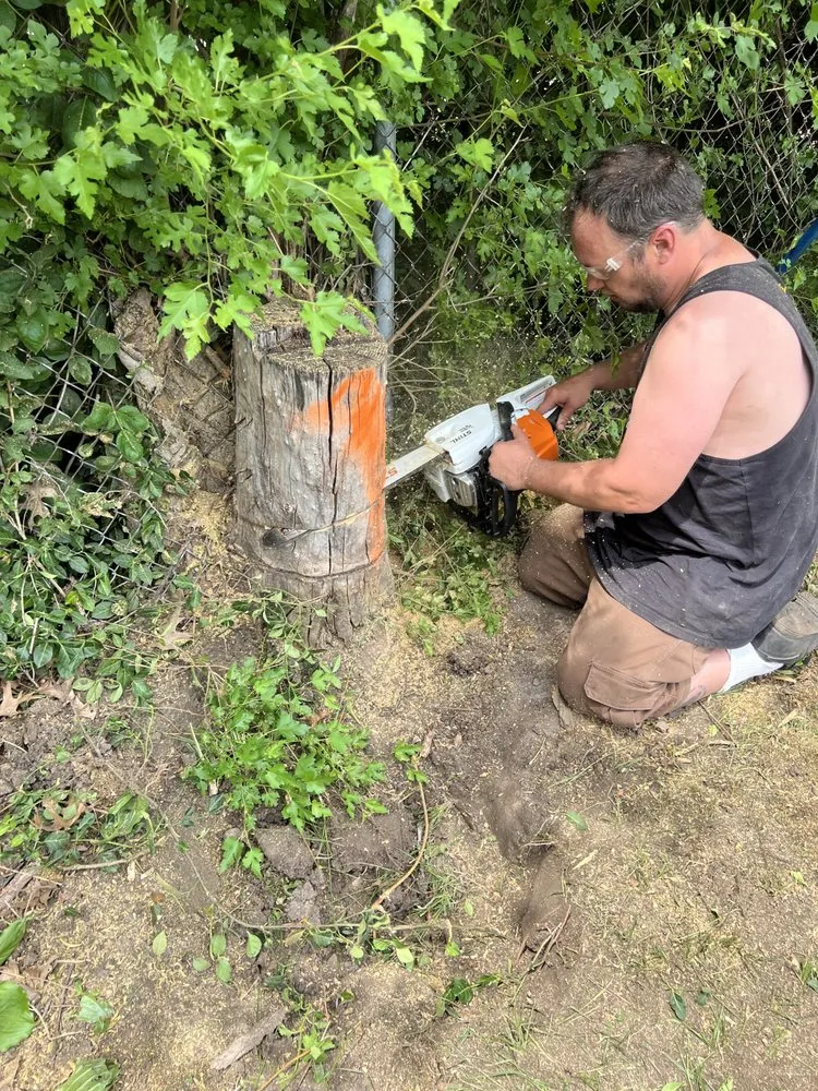 Top-rated lawn mowing service in Moline, IL by Ground Solutions