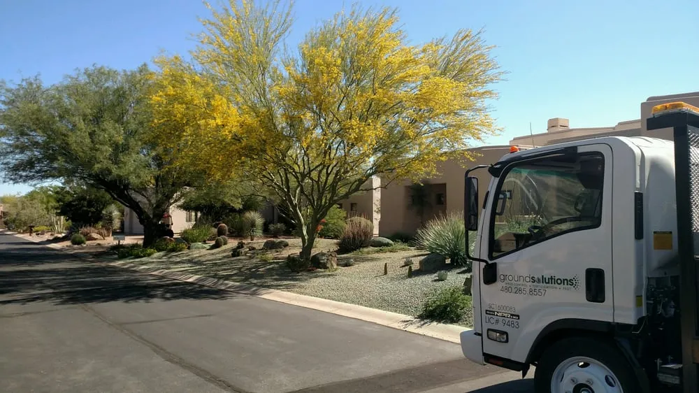 Expert landscaping services in Phoenix, AZ - Ground Solutions